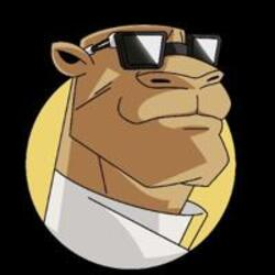 CAMEL