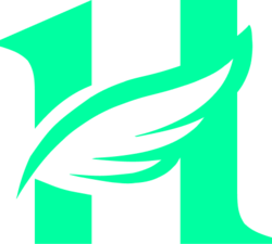FLY