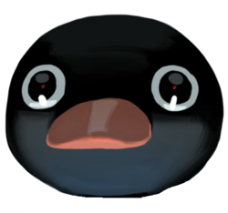 NOOT
